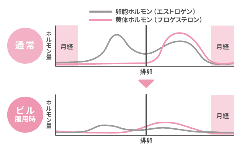 女性ホルモンの変動